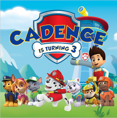PAW PATROL  BACKDROP 01 - Twins Print