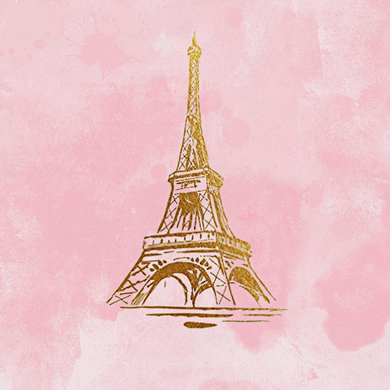 PINK PARIS  BACKDROP - Twins Print