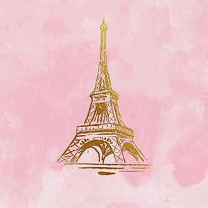 PINK PARIS  BACKDROP - Twins Print