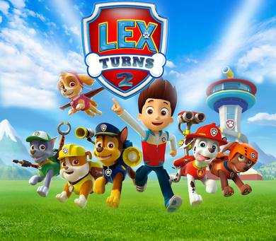 PAW PATROL BACKDROP 02 - Twins Print