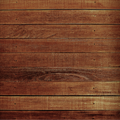 WOOD  BACKDROP - Twins Print
