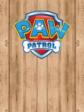 PAW PATROL 03  BACKDROP - Twins Print