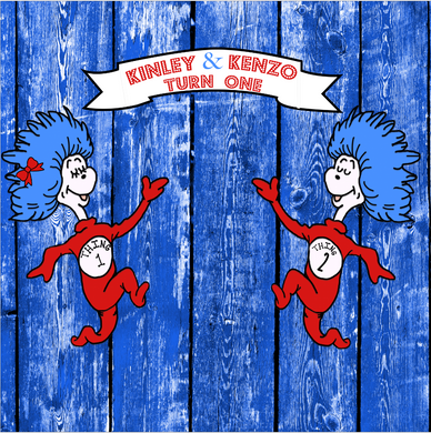 DR seuss 1 thing 2 thing  BACKDROP - Twins Print