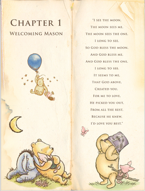 TELÓN DE FONDO DE WINNIE THE POOH / VINTAGE 